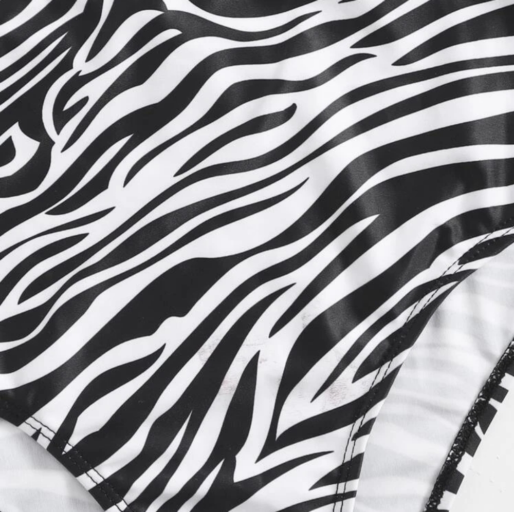 Zebra Striped High Waisted Bikini Set - Picture 5 of 6